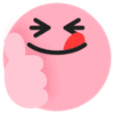 TikTok Video Downloader